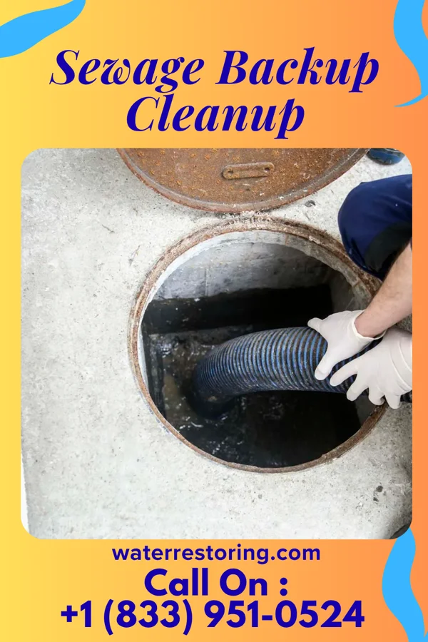 Sewage Backup Cleanup in Rochester, IA