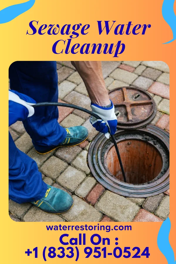 Sewage Water Cleanup in Rochester, IA